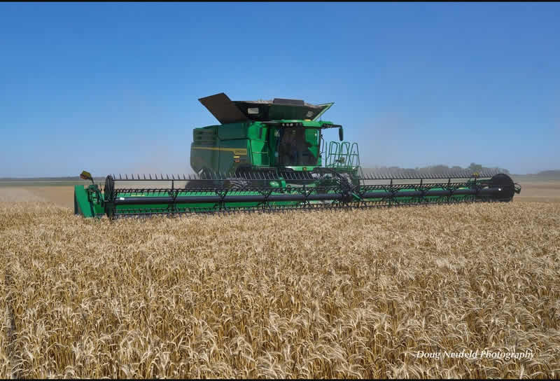 A home development in the country.